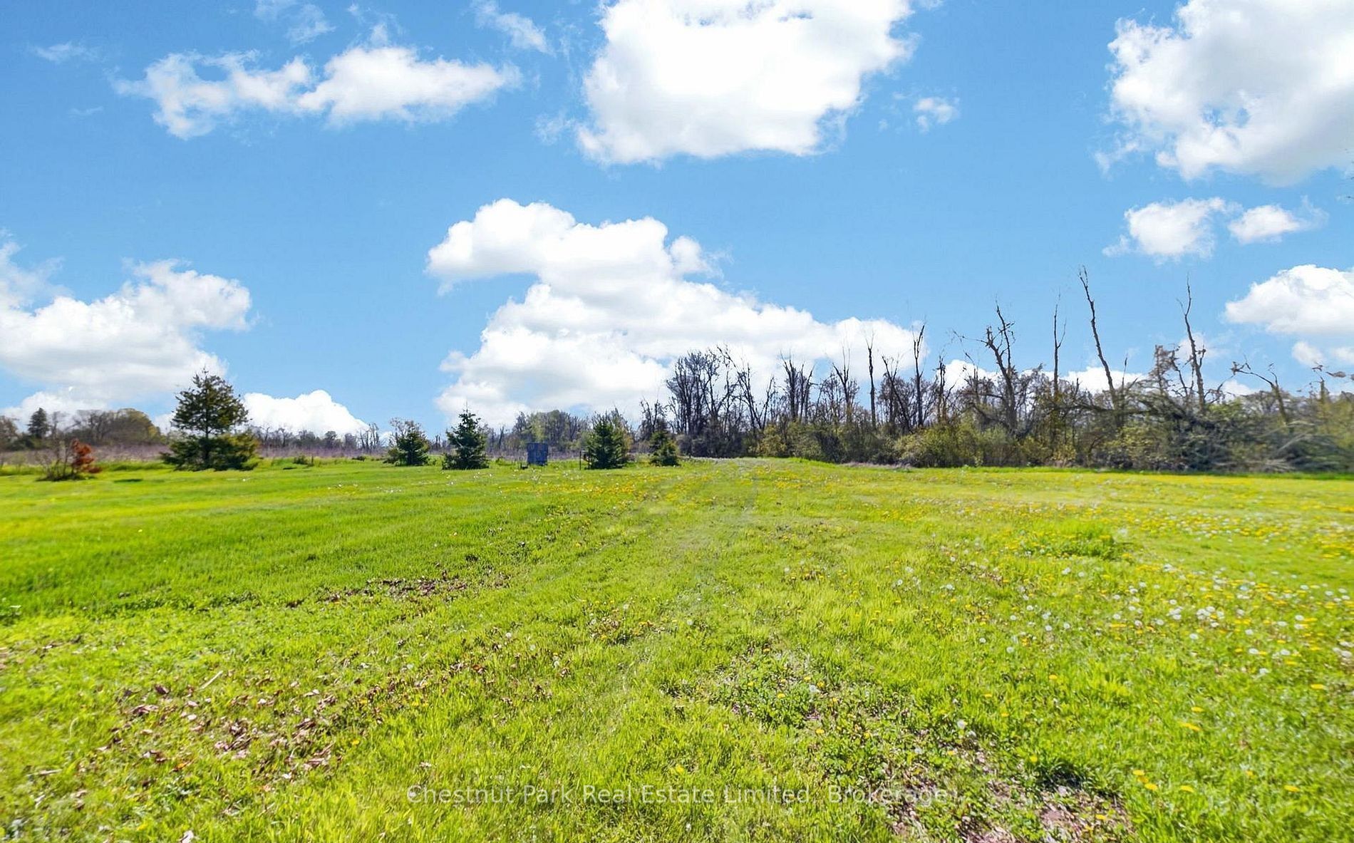 1092 Huycks Point Road Property Photo 8