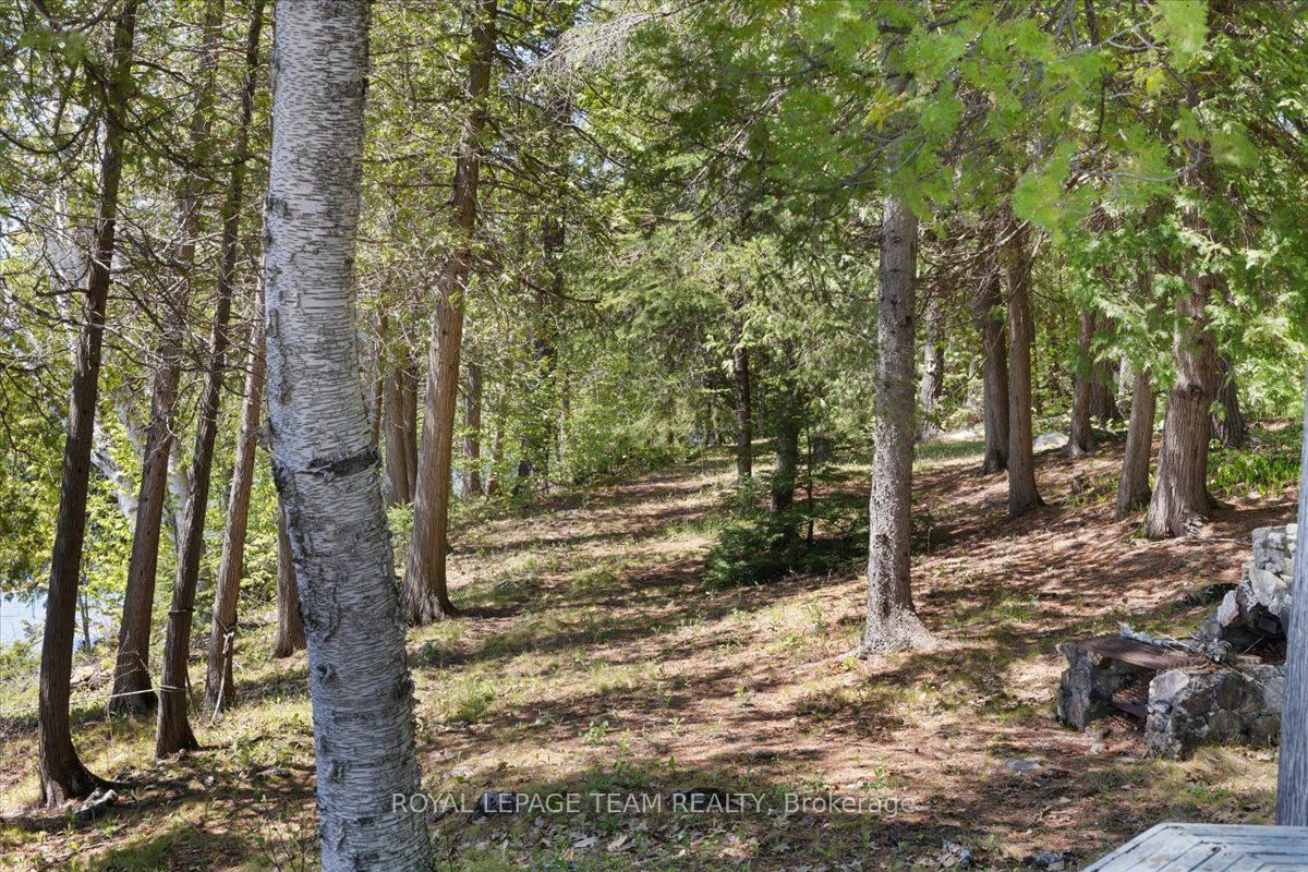 91 Bertrim Lane Property Photo 29