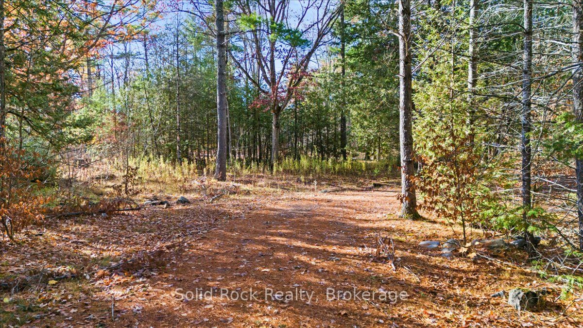 136 Glen Ridge Road Property Photo 13