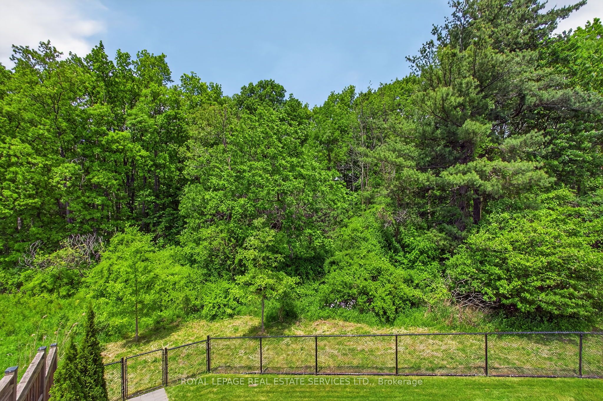 31 Dorr Court Property Photo 18