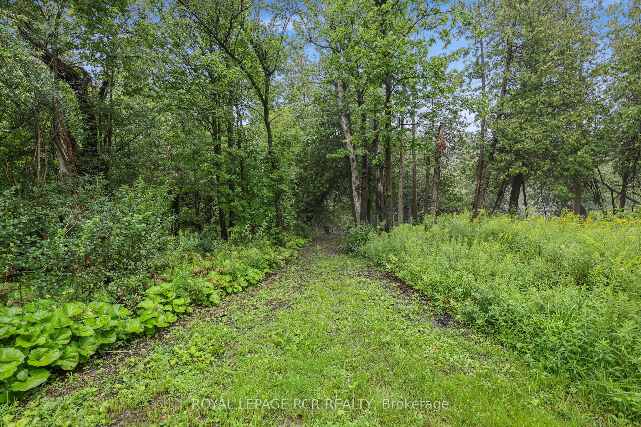 308451 Hockley Road Property Photo 26