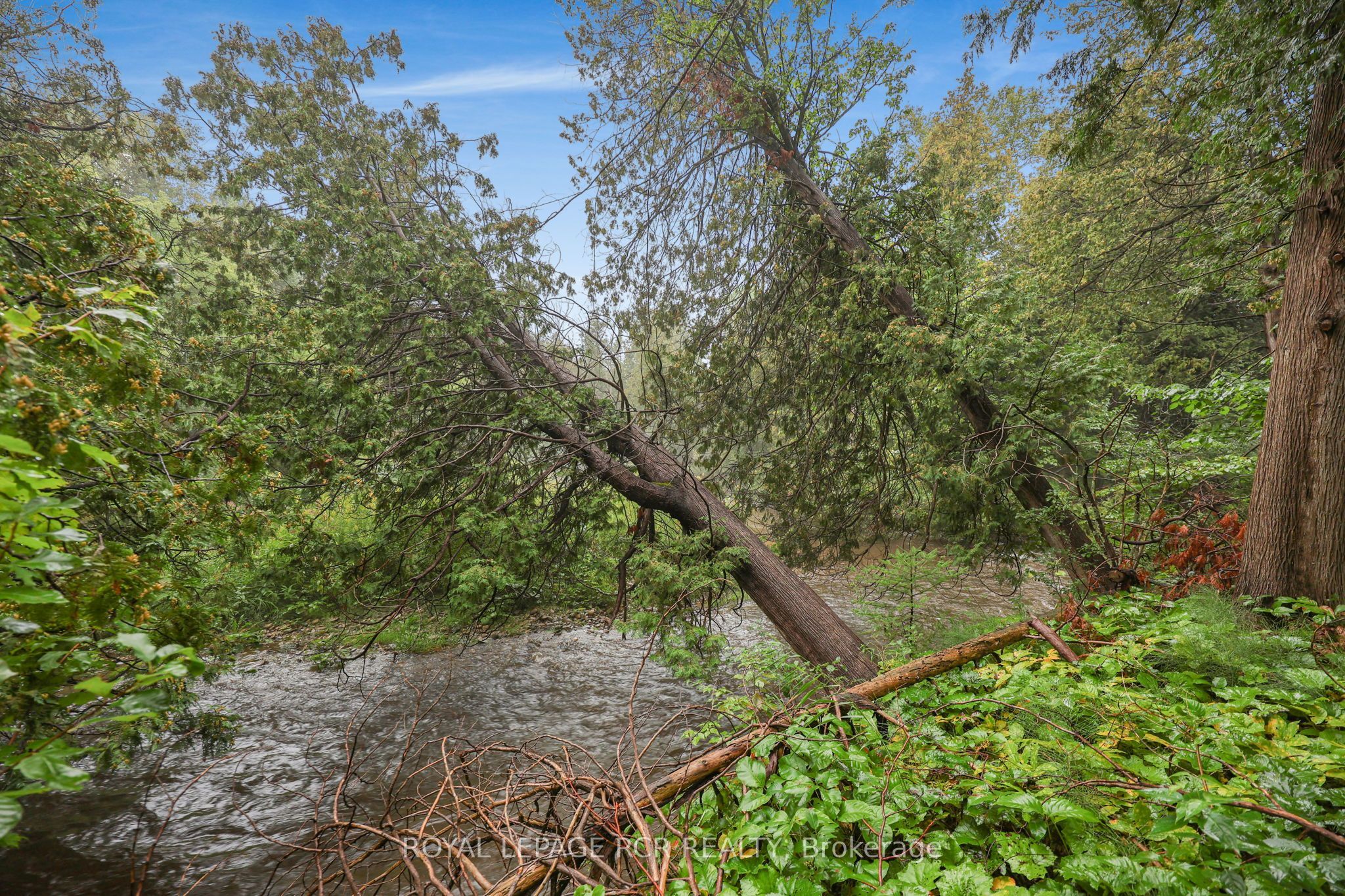 308451 Hockley Road Property Photo 35