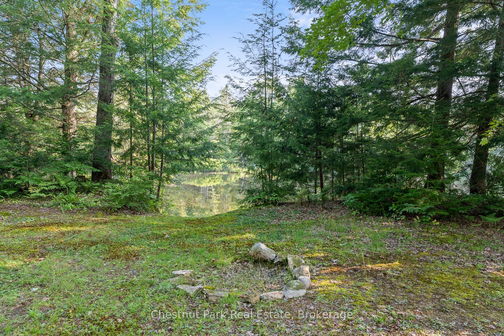 1025 Moe's Road Property Photo 1