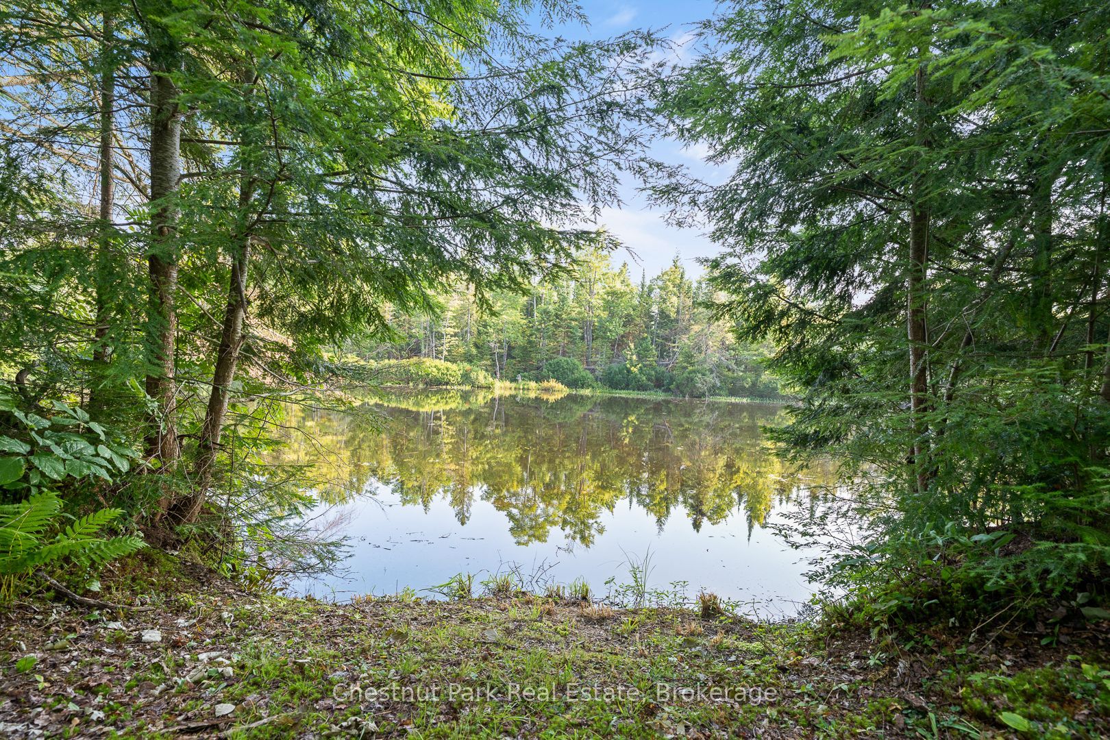 1025 Moe's Road Property Photo 3