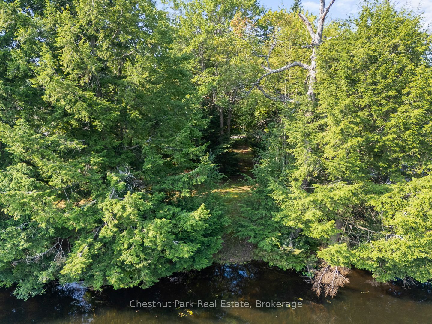 1025 Moe's Road Property Photo 9