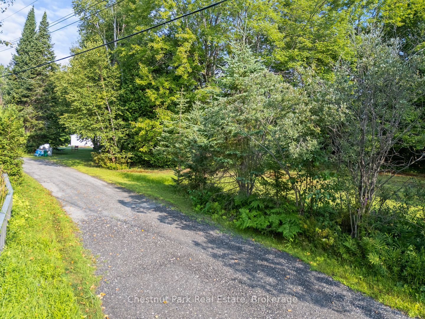 1025 Moe's Road Property Photo 18