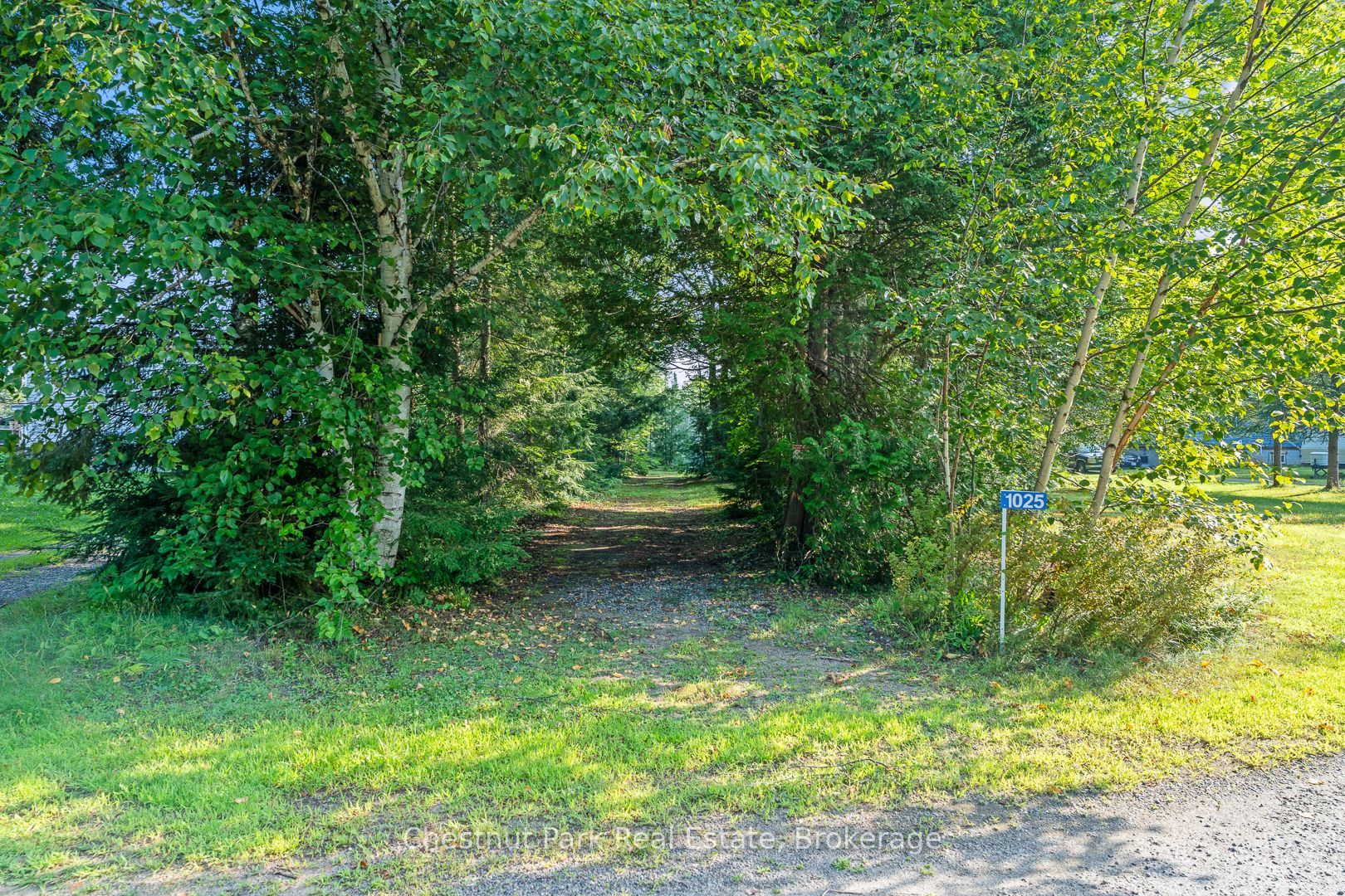 1025 Moe's Road Property Photo 19