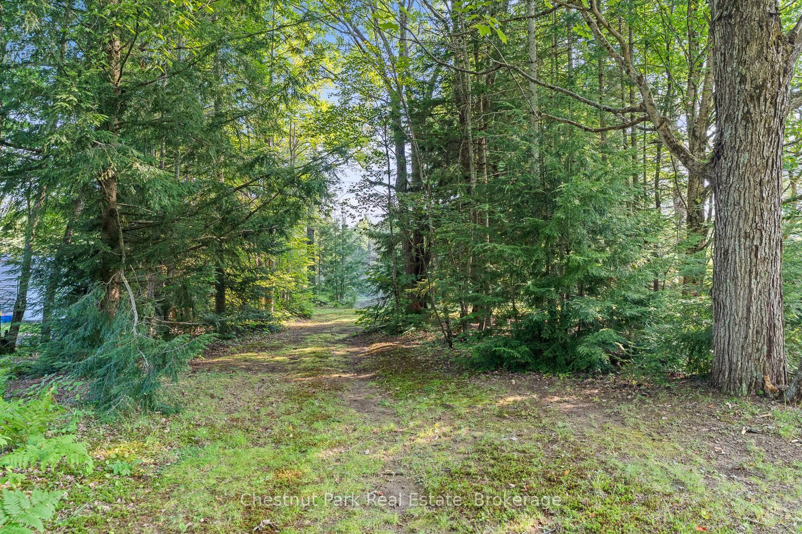 1025 Moe's Road Property Photo 23