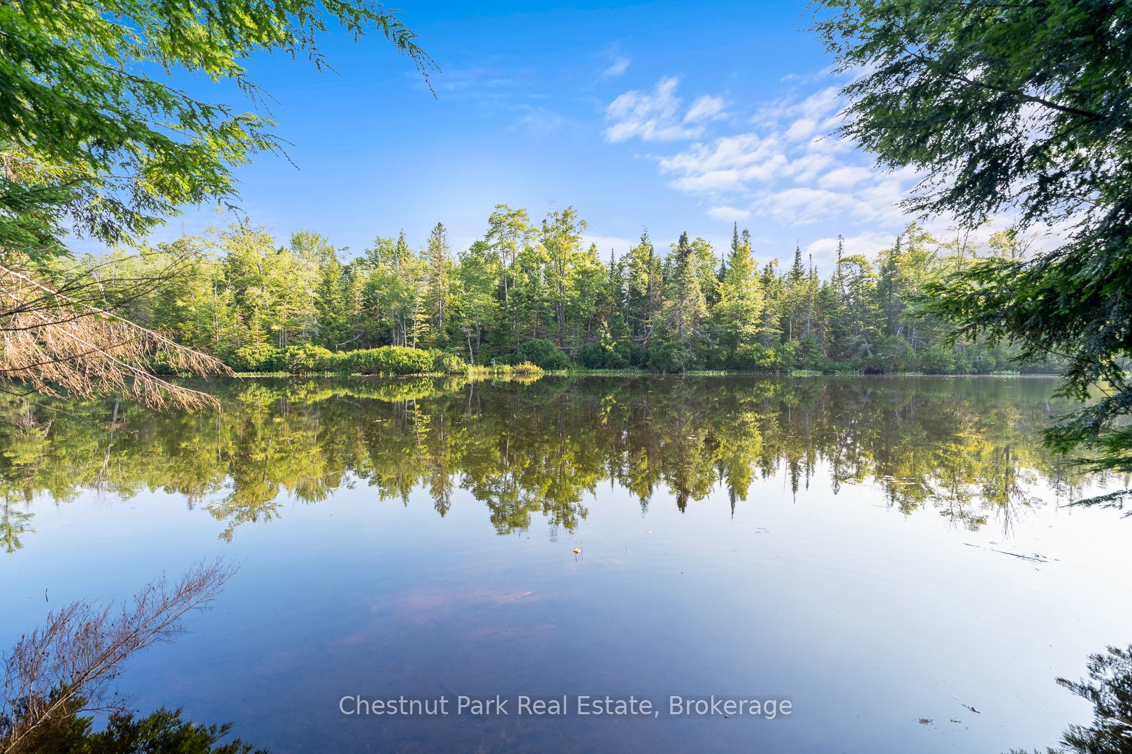 1025 Moe's Road Property Photo 25