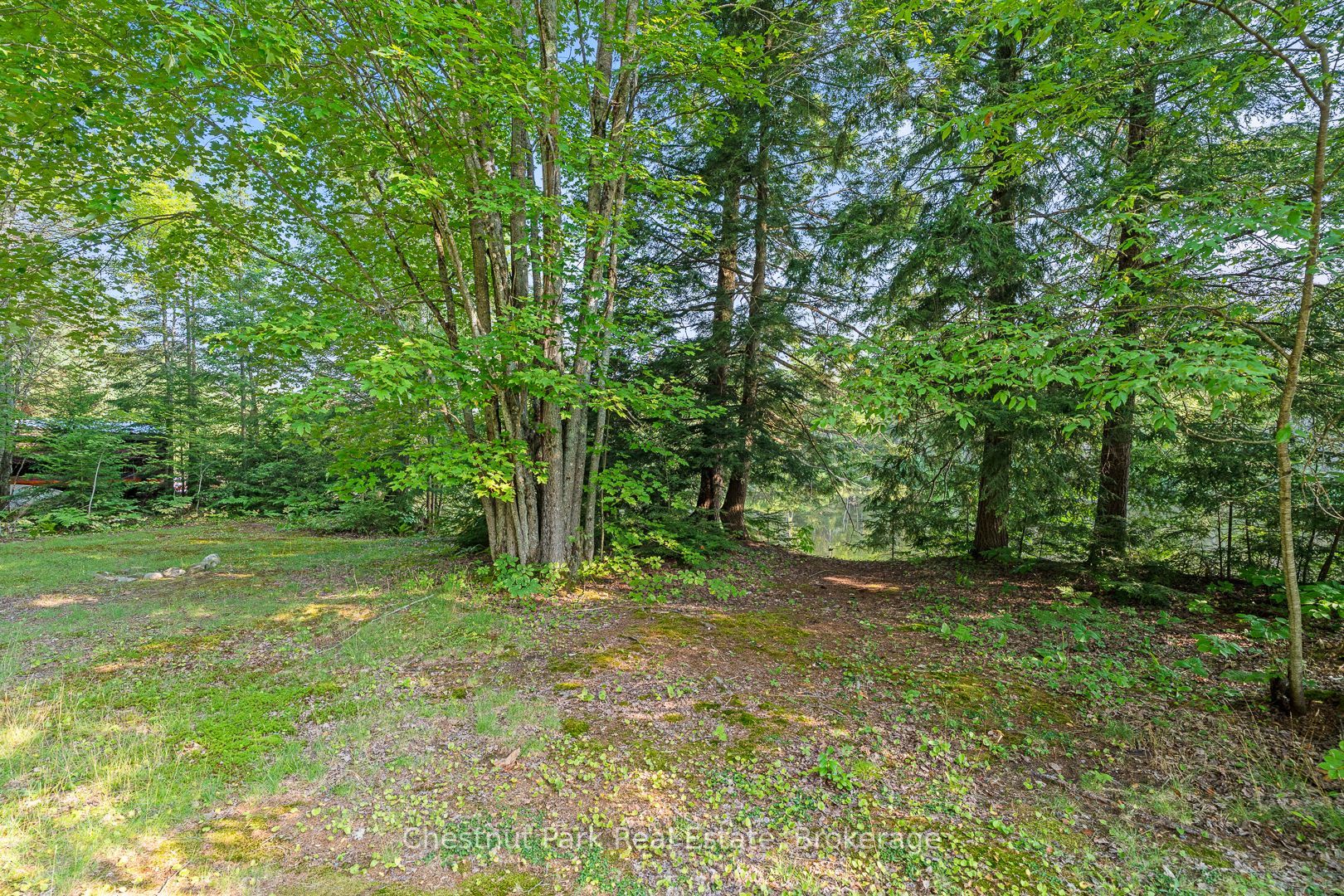 1025 Moe's Road Property Photo 27