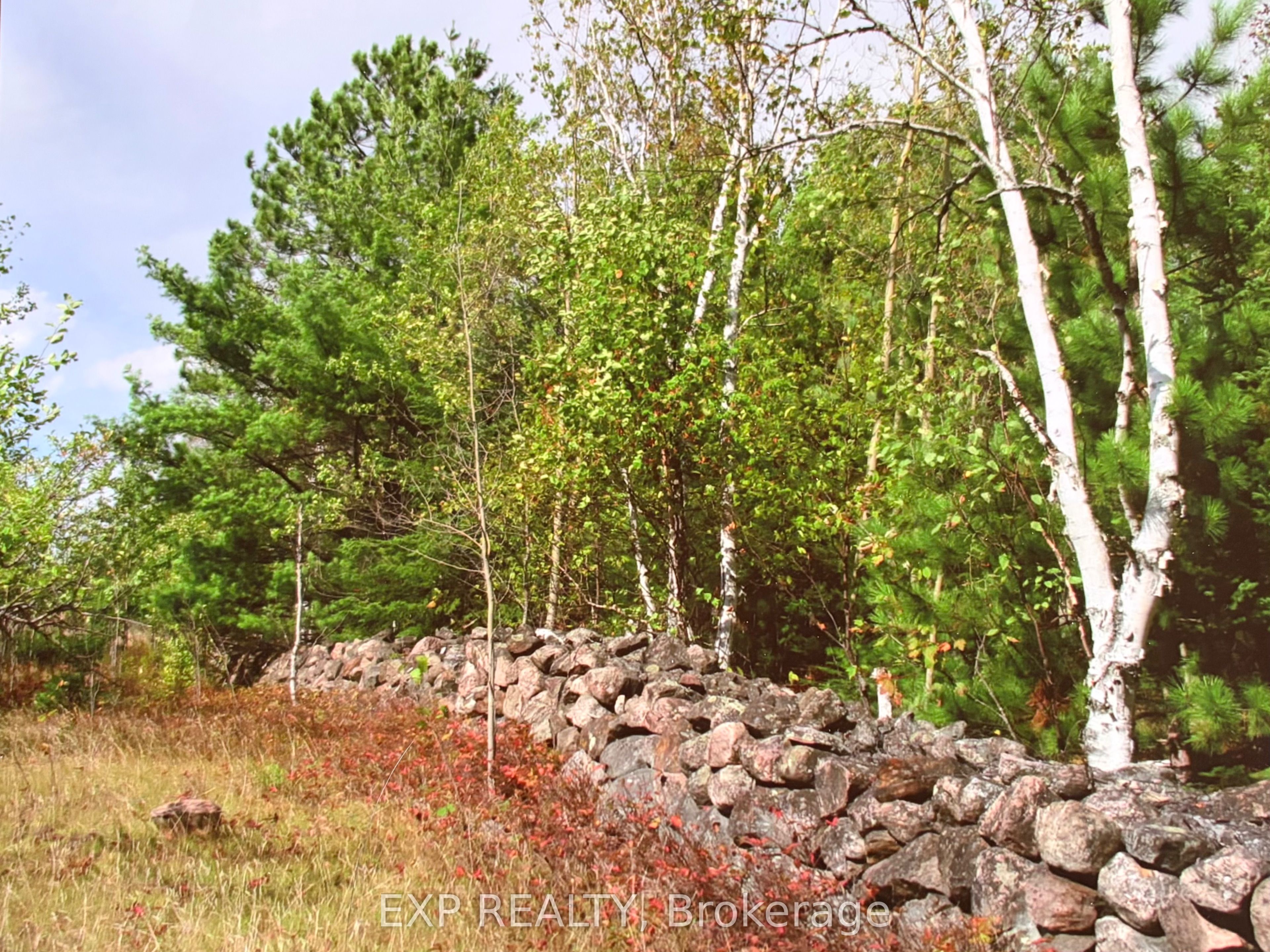 144 Trebinski Road Property Photo 31