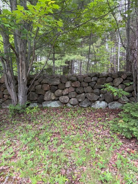 144 Trebinski Road Property Photo 46
