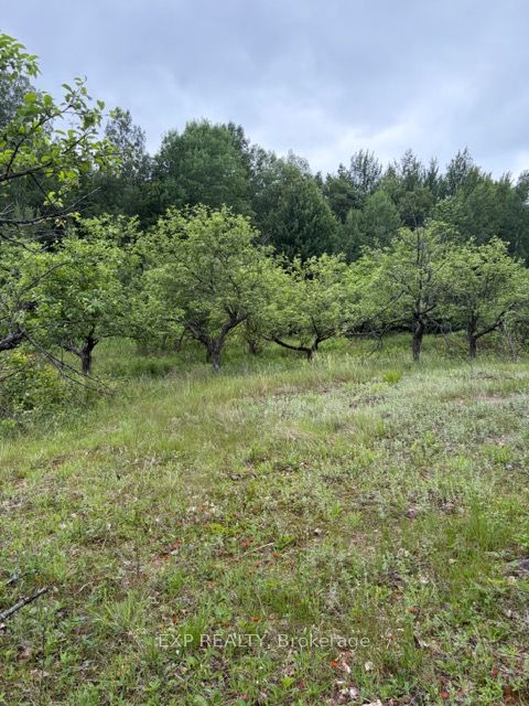 144 Trebinski Road Property Photo 47