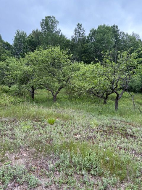 144 Trebinski Road Property Photo 49