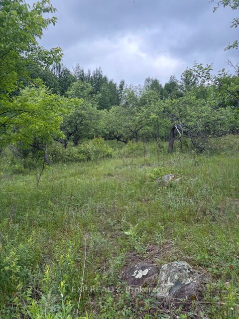 144 Trebinski Road Property Photo 50
