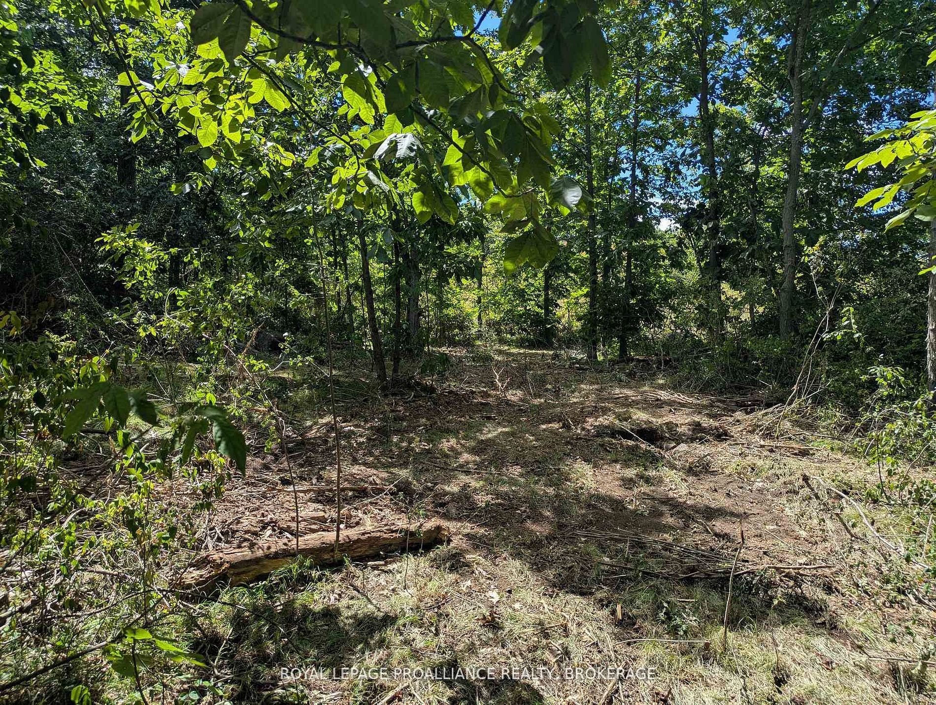 2621 4th Concession Road Property Photo 1