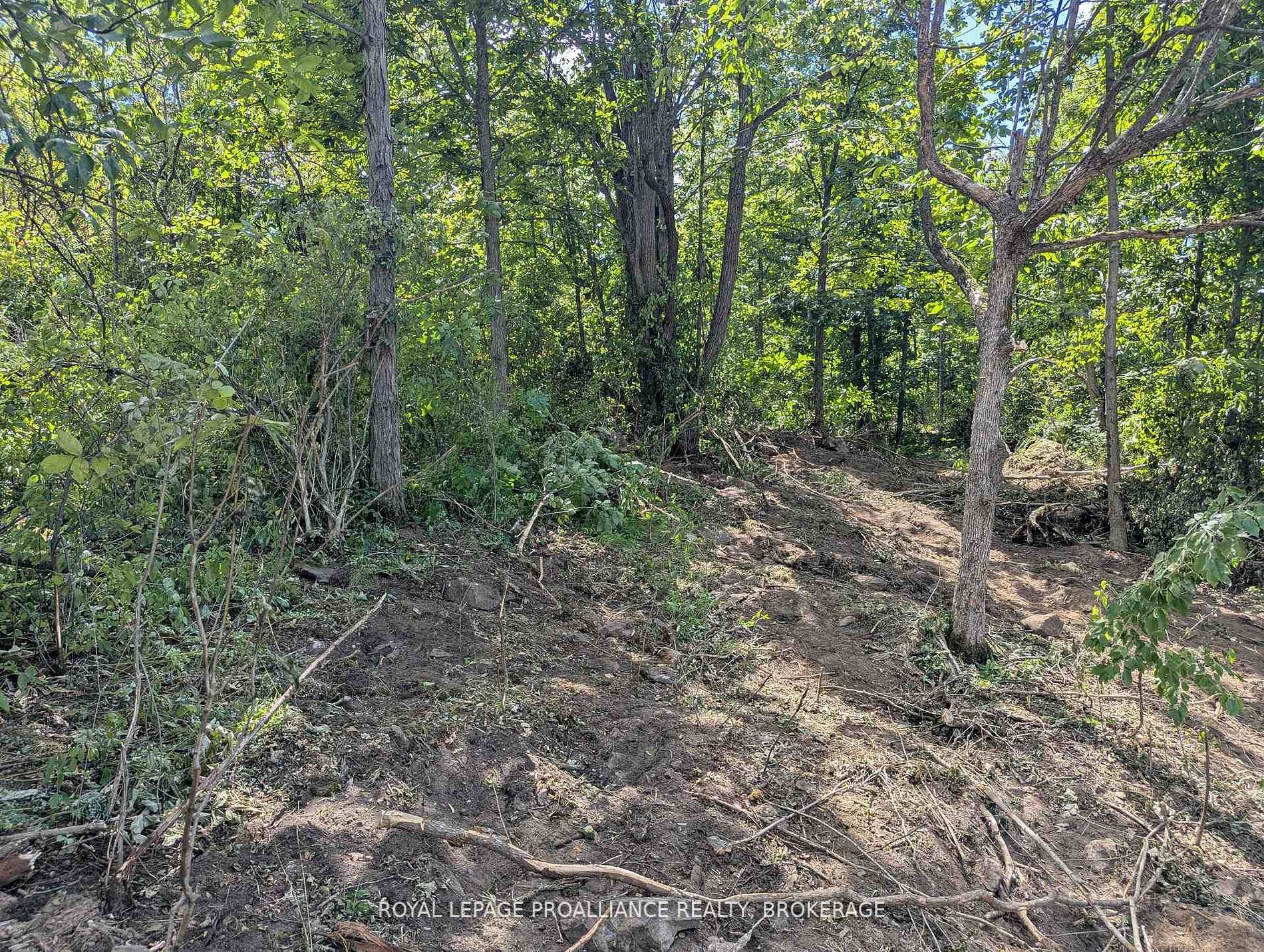 2621 4th Concession Road Property Photo 3