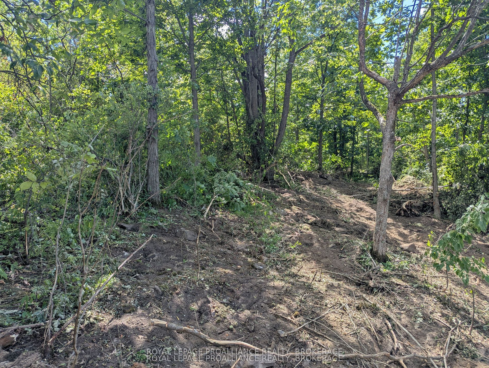 2621 4th Concession Road Property Photo 4