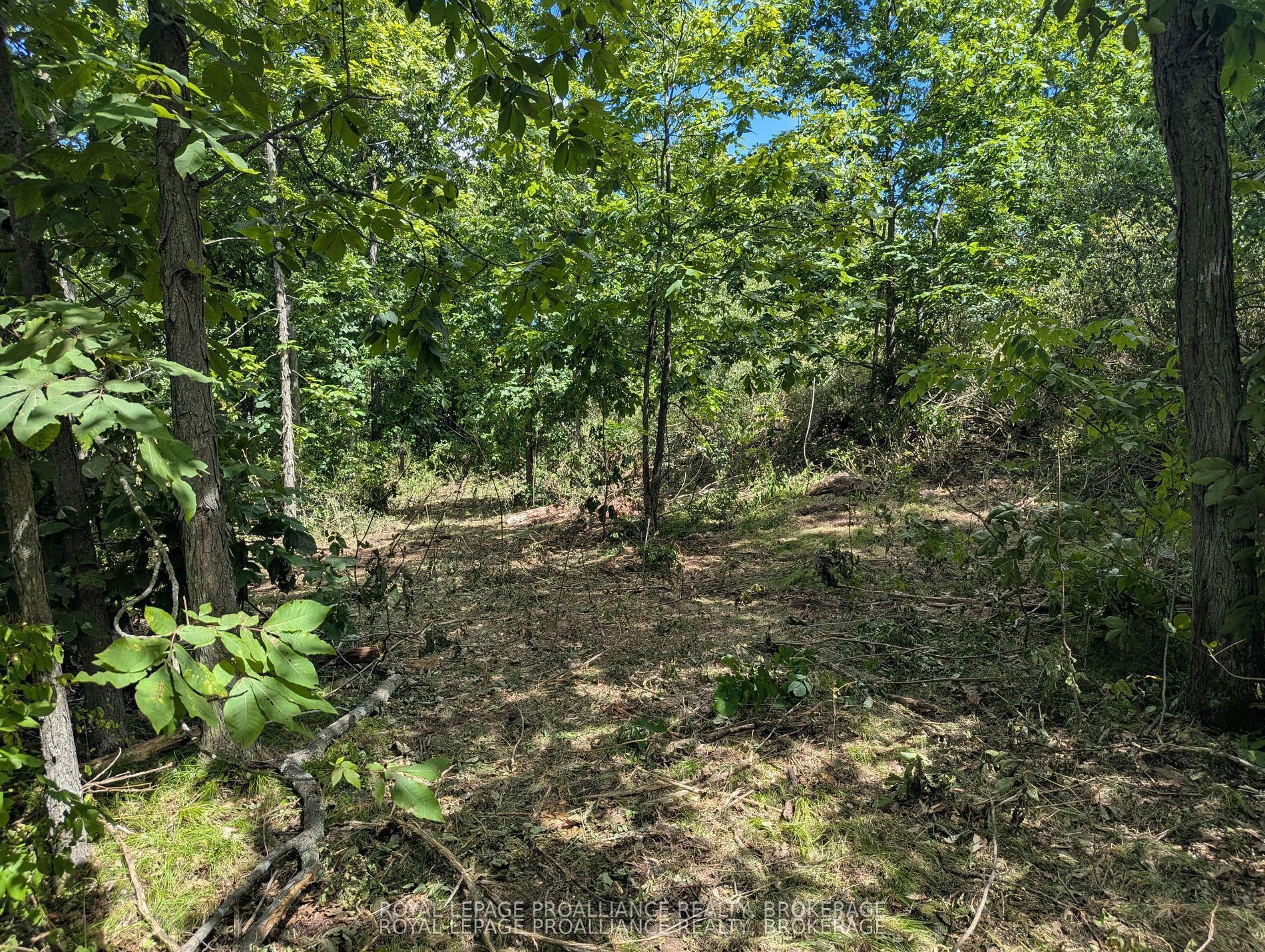 2621 4th Concession Road Property Photo 5
