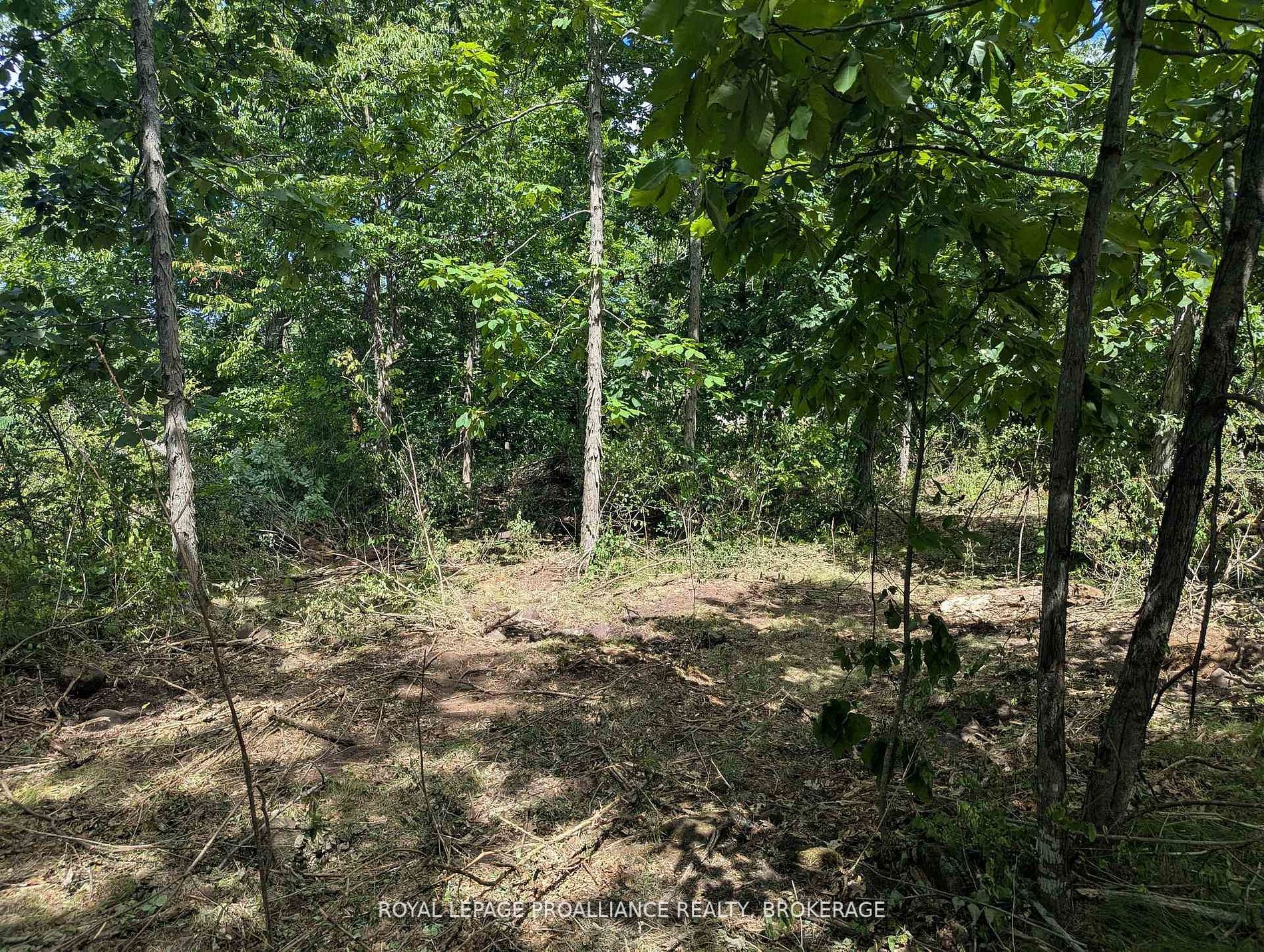 2621 4th Concession Road Property Photo 6