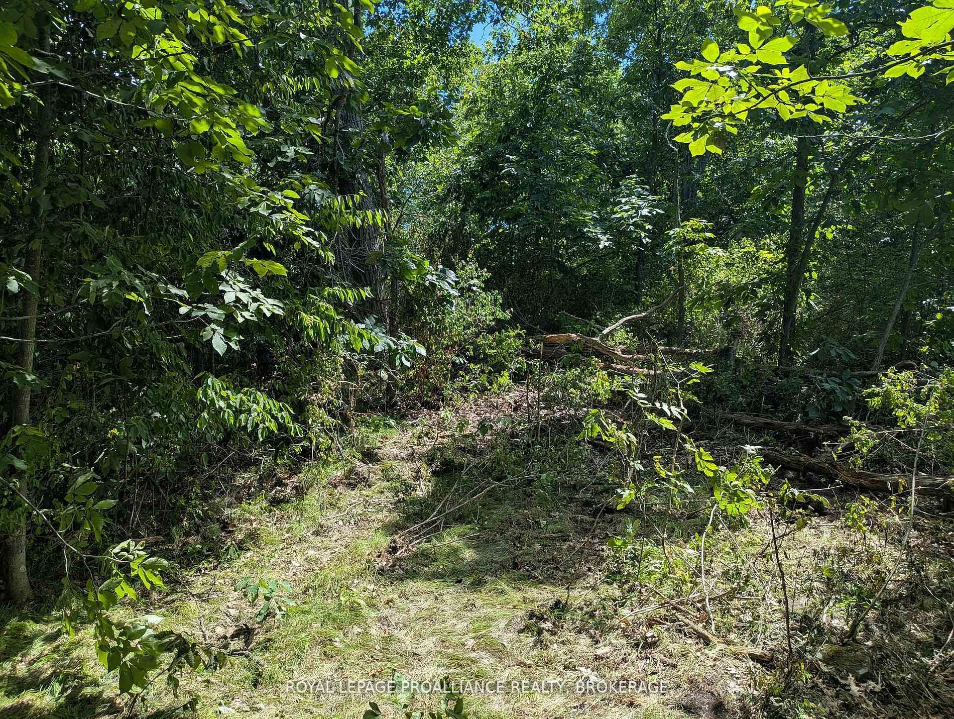 2621 4th Concession Road Property Photo 7