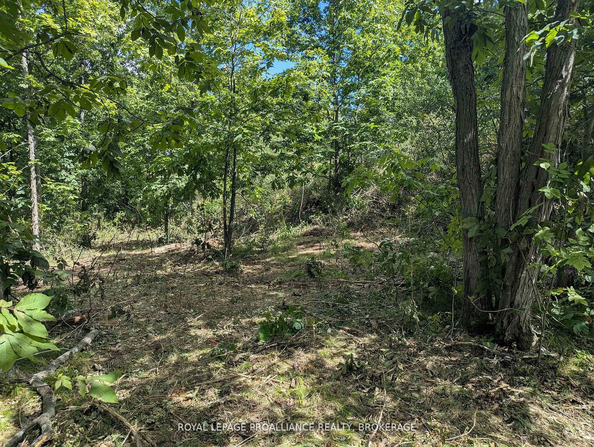 2621 4th Concession Road Property Photo 8