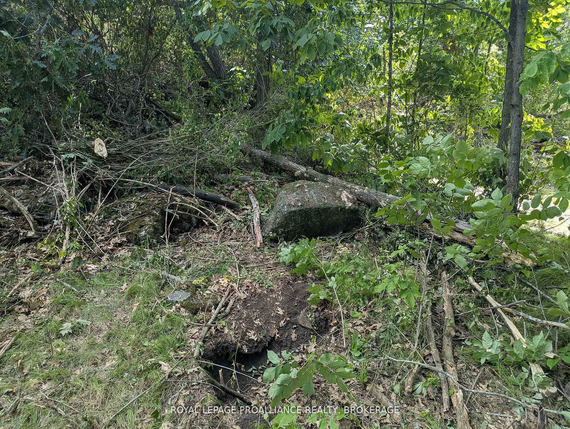 2621 4th Concession Road Property Photo 10