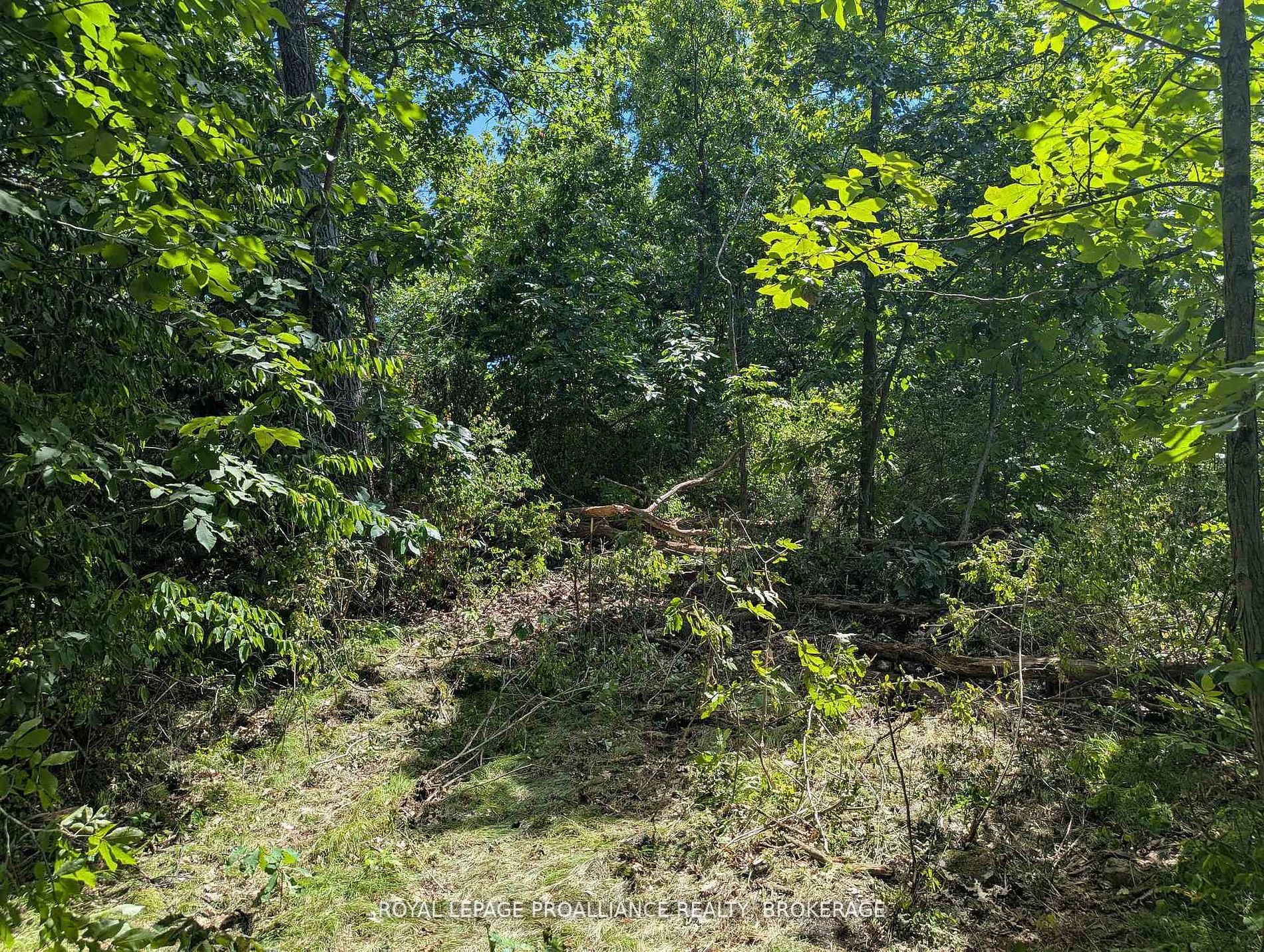 2621 4th Concession Road Property Photo 11