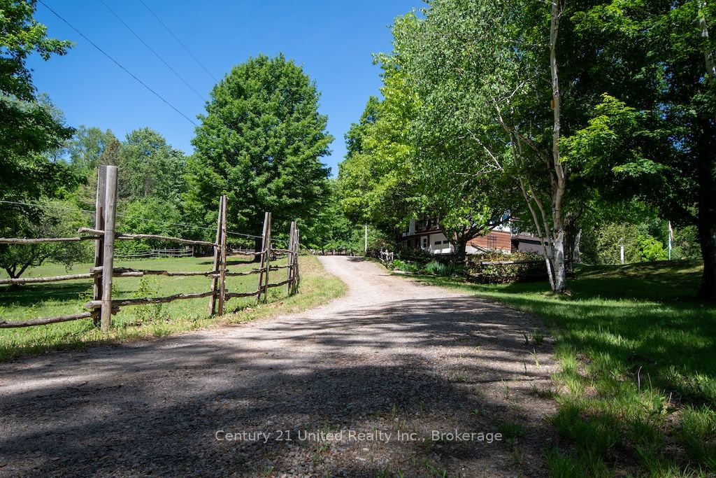 2003 Hybla Road Property Photo 37