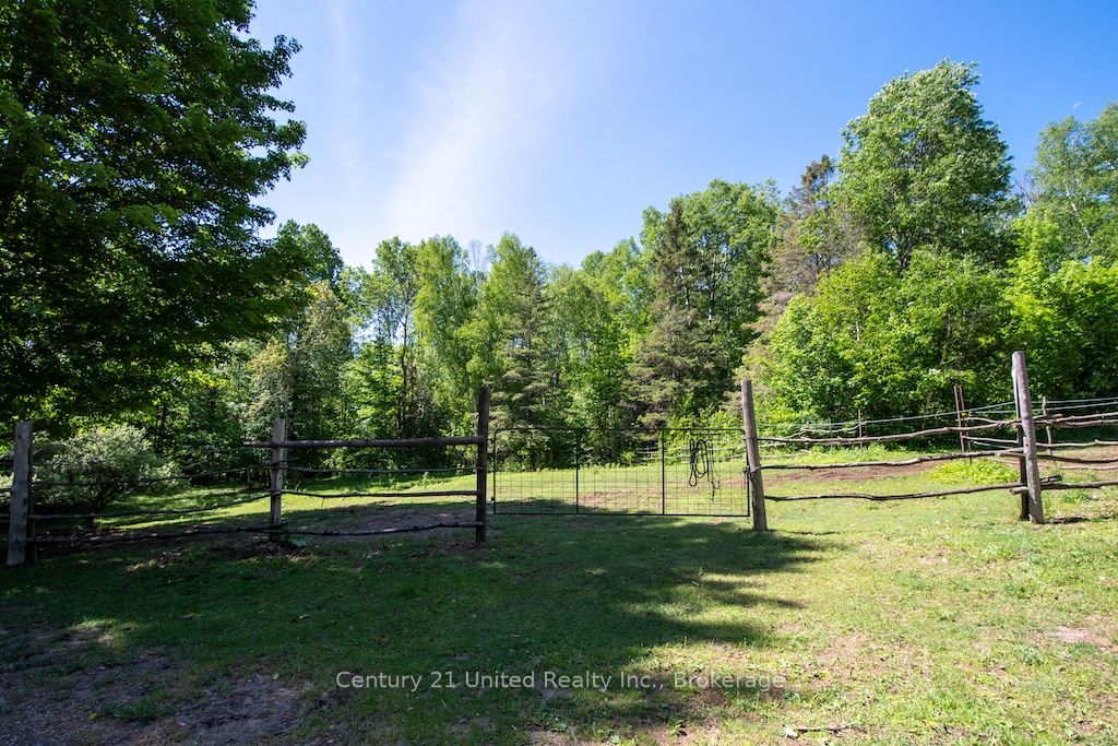 2003 Hybla Road Property Photo 41