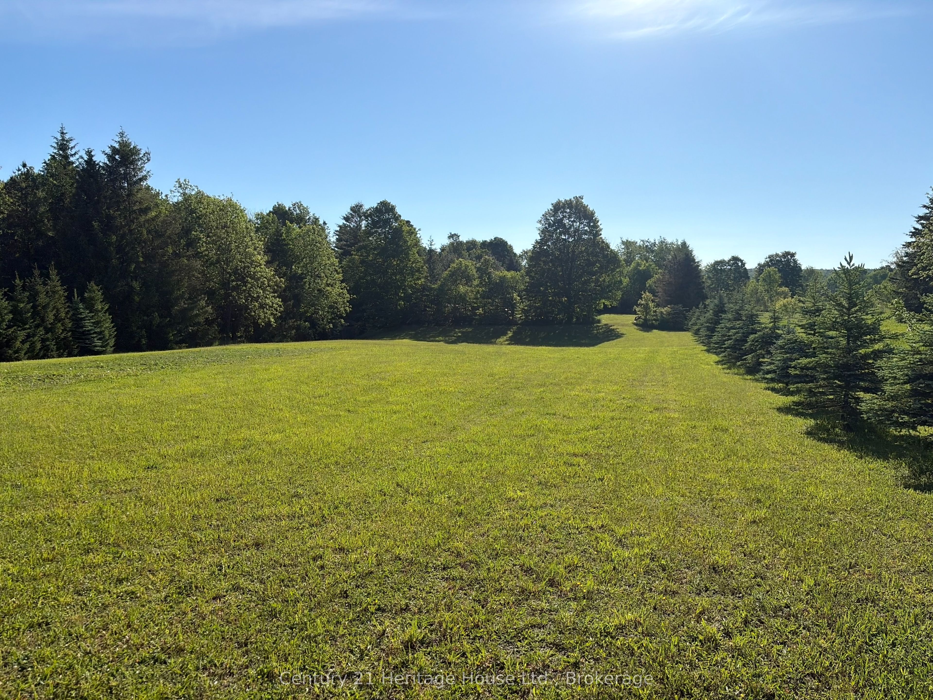 395551 2 Concession Property Photo 5