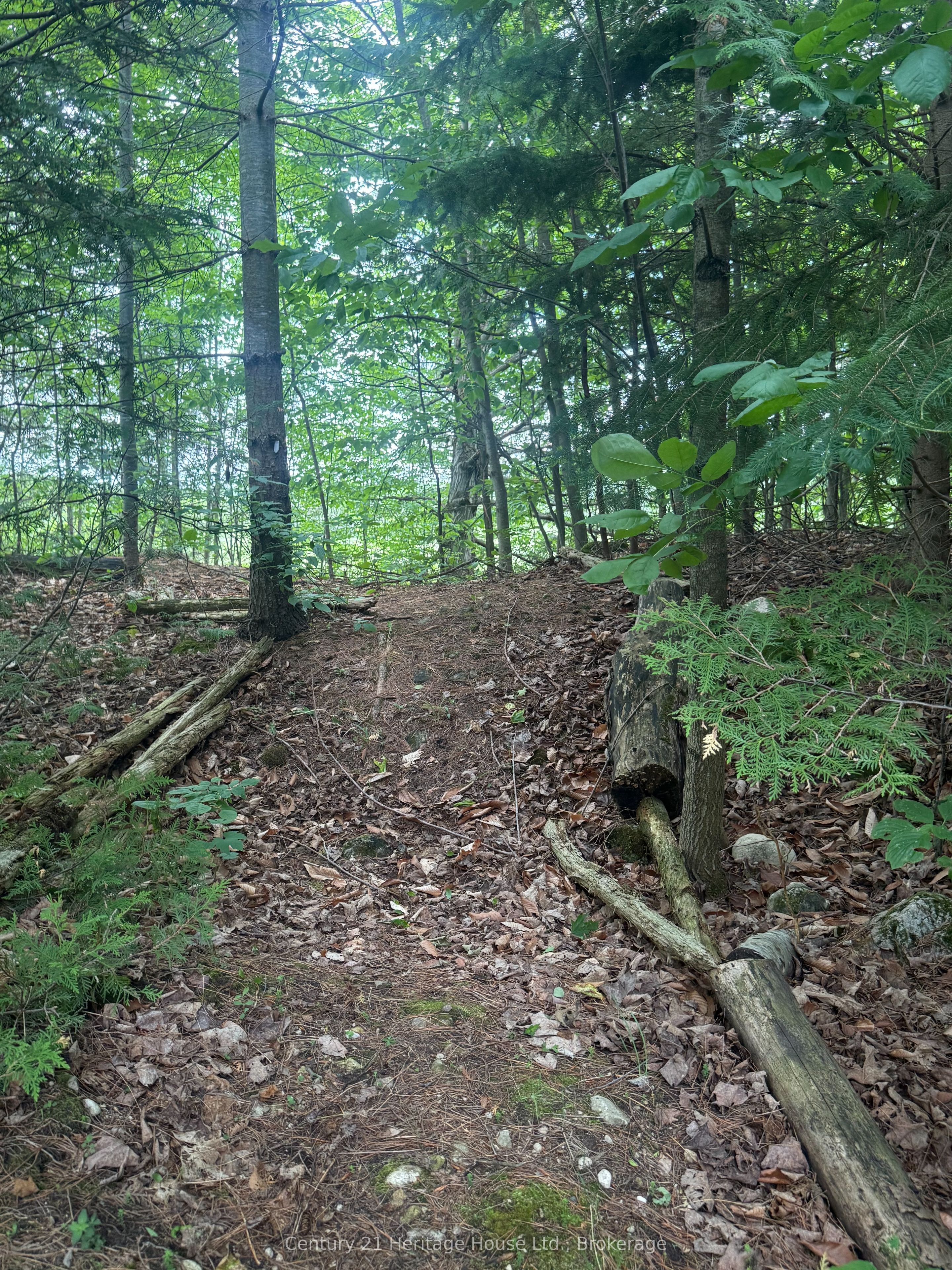 395551 2 Concession Property Photo 14
