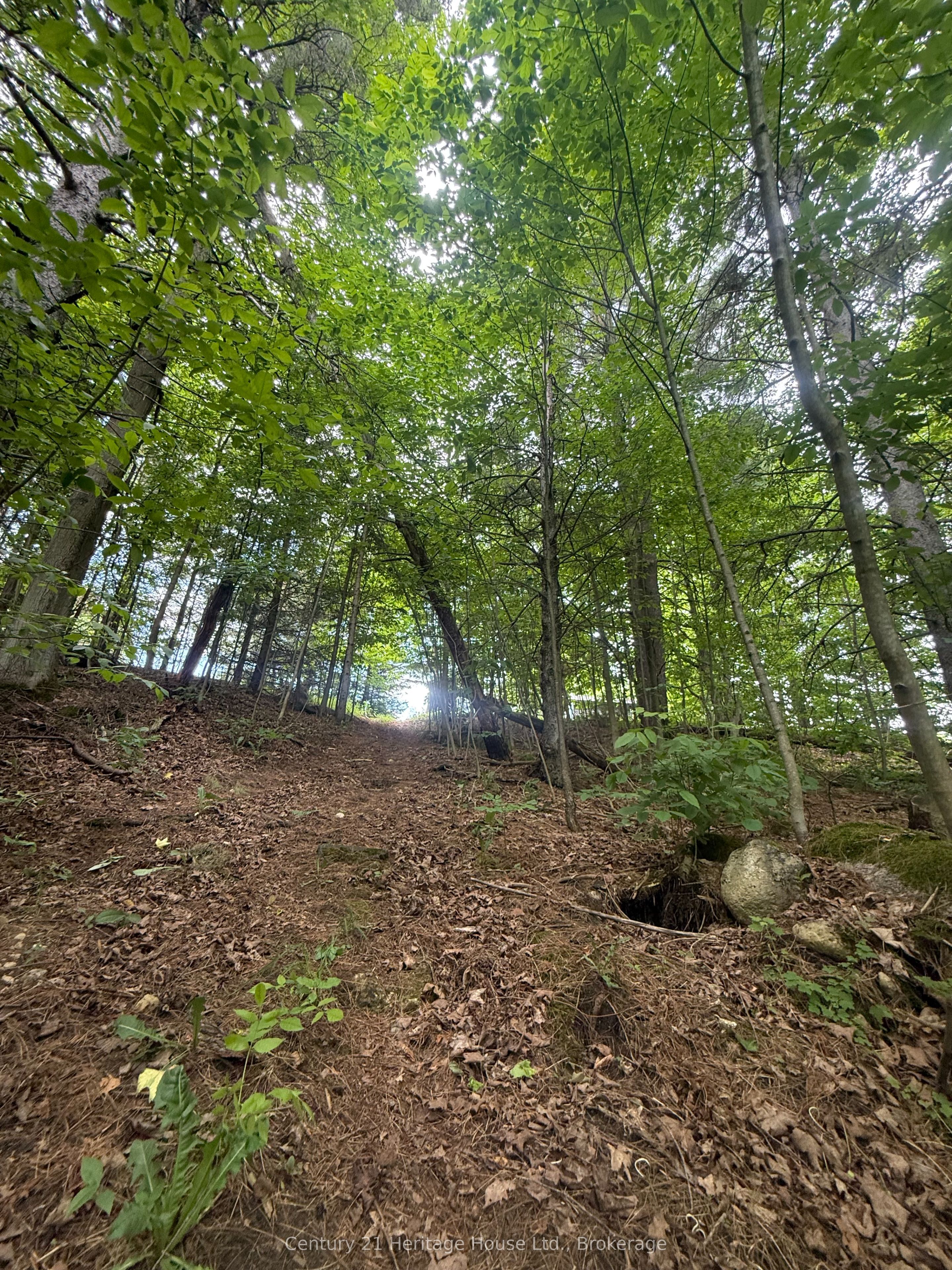 395551 2 Concession Property Photo 18