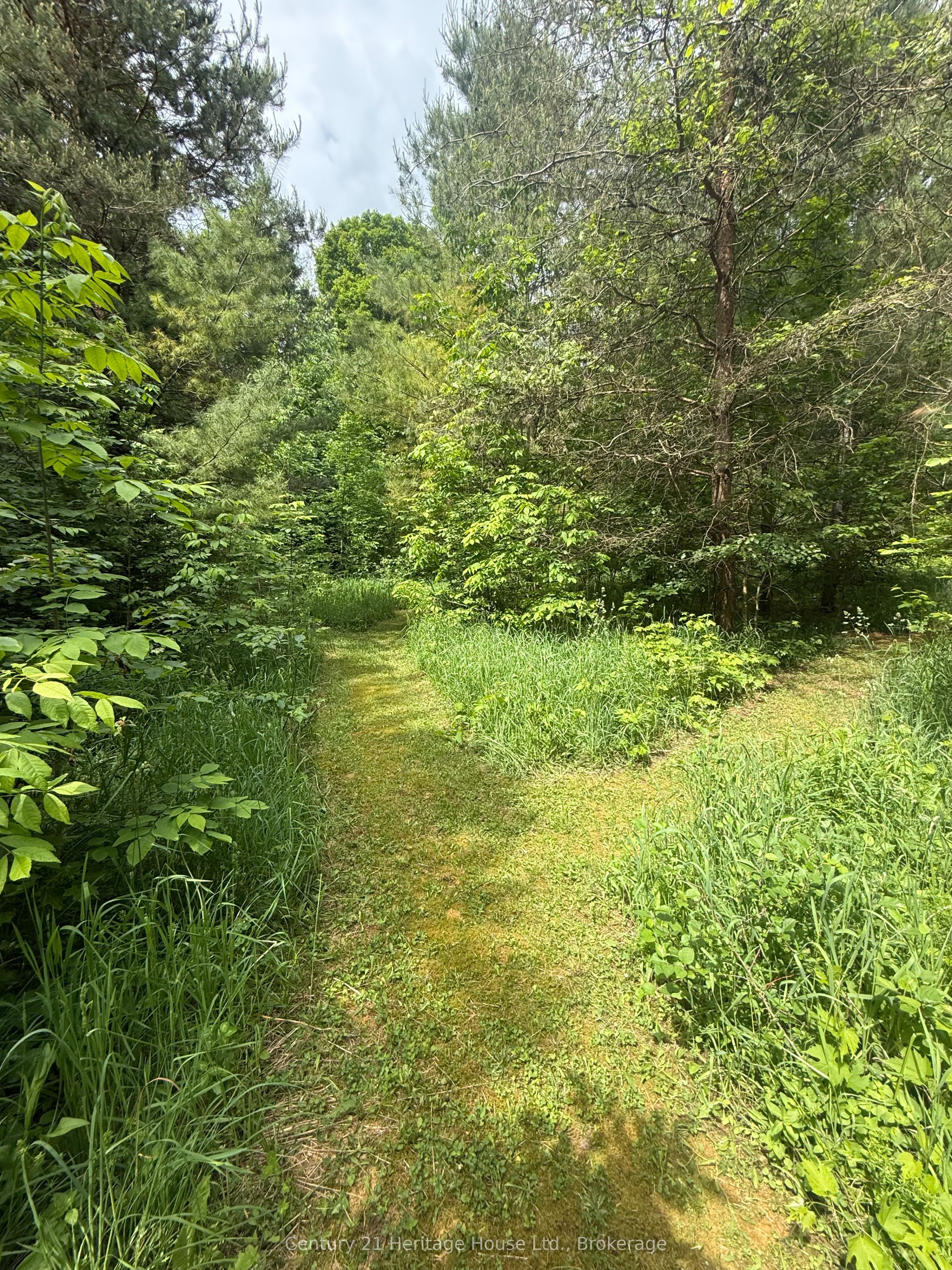 395551 2 Concession Property Photo 19
