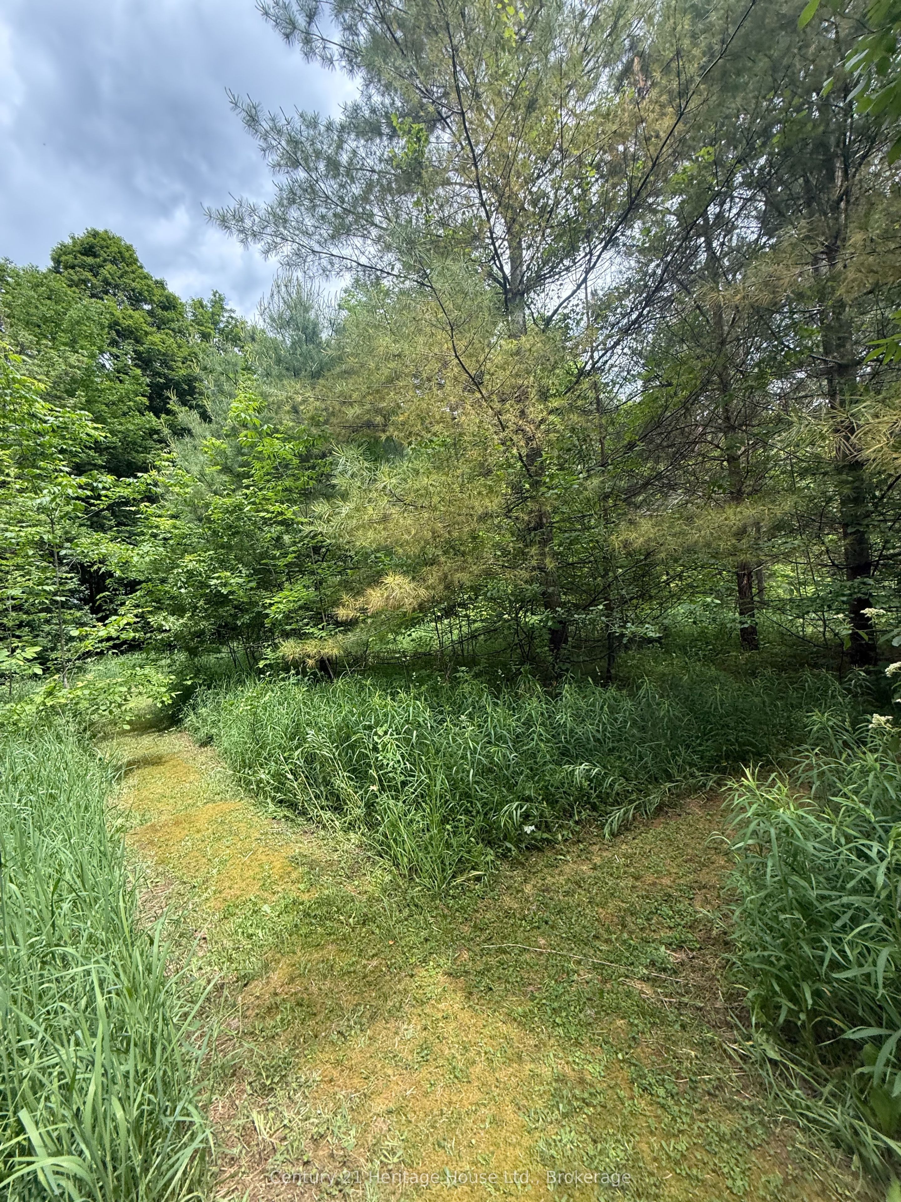 395551 2 Concession Property Photo 20