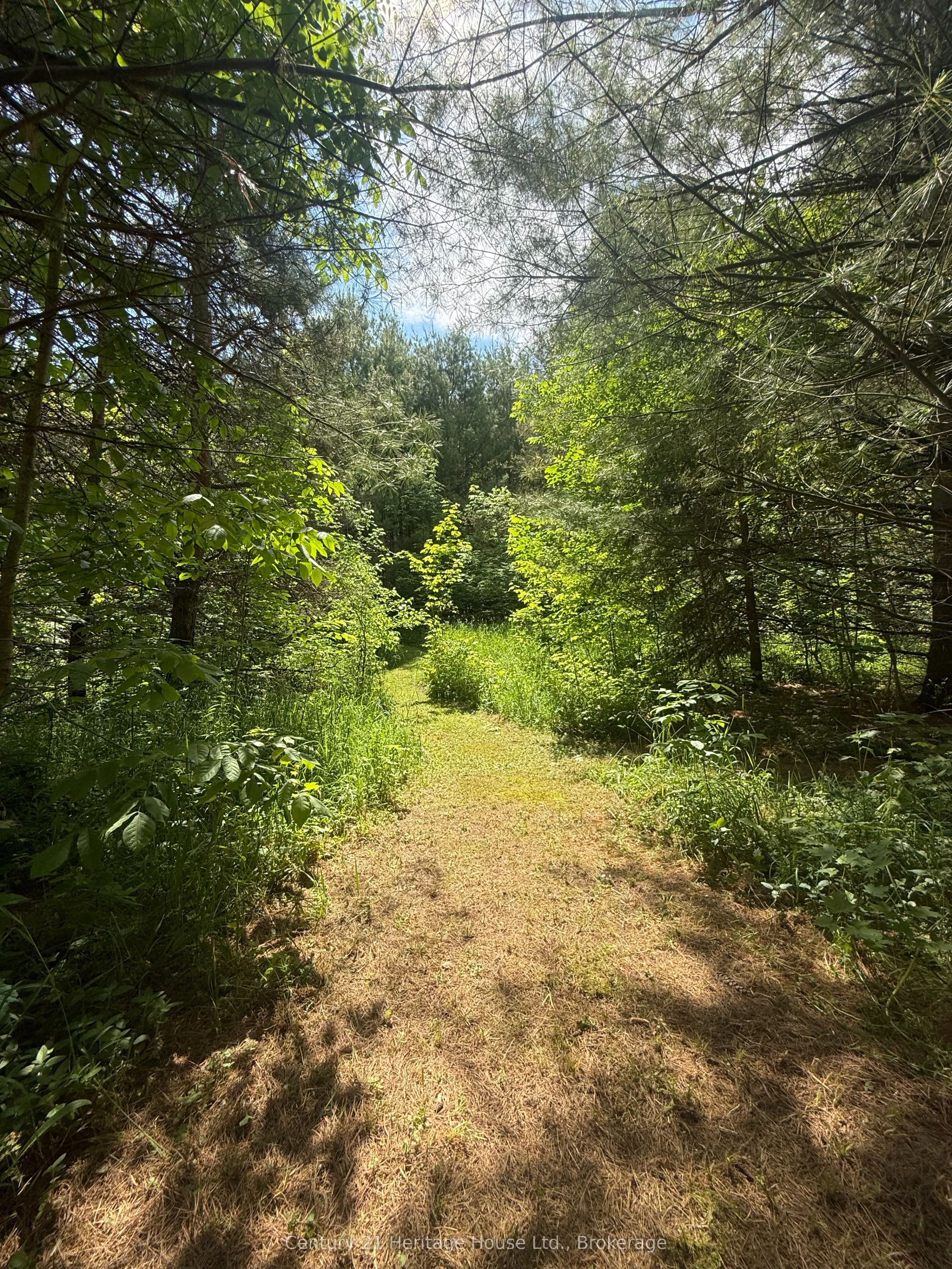 395551 2 Concession Property Photo 22