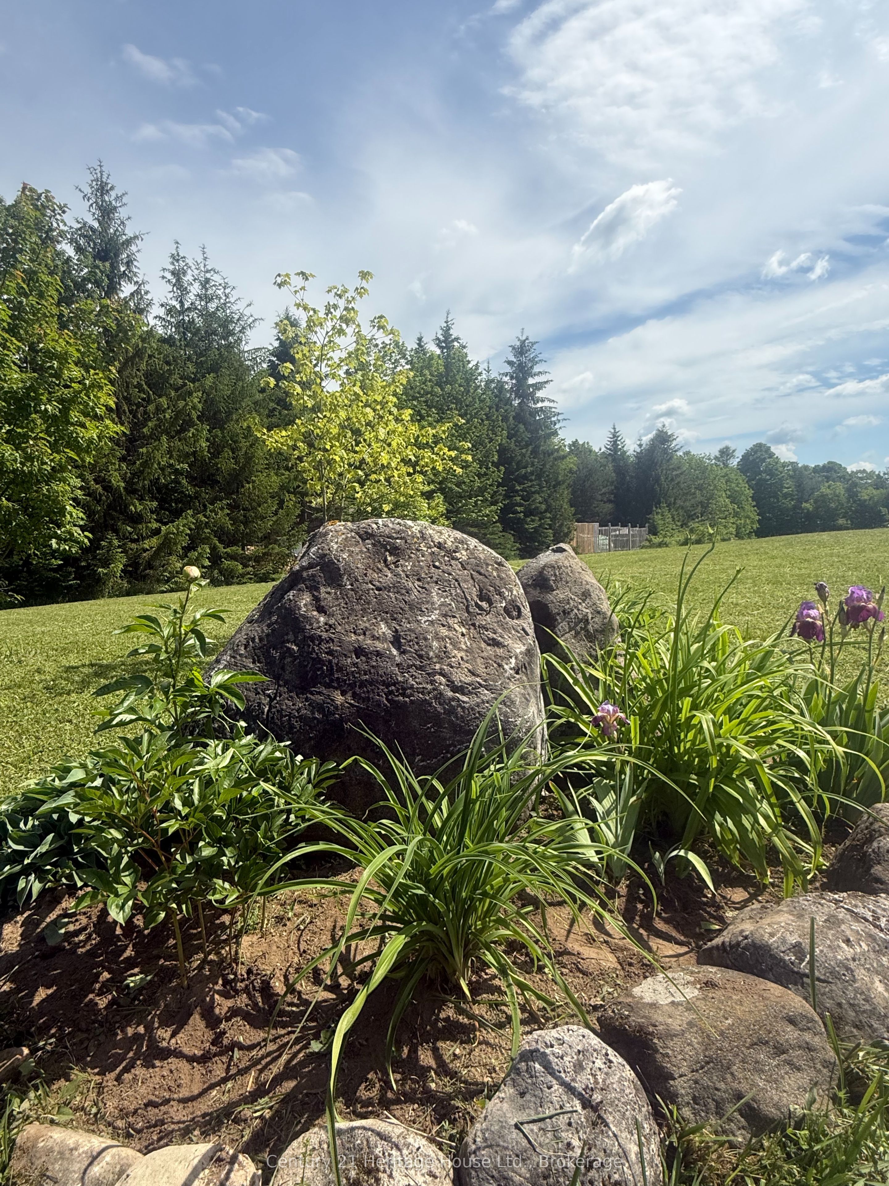 395551 2 Concession Property Photo 24