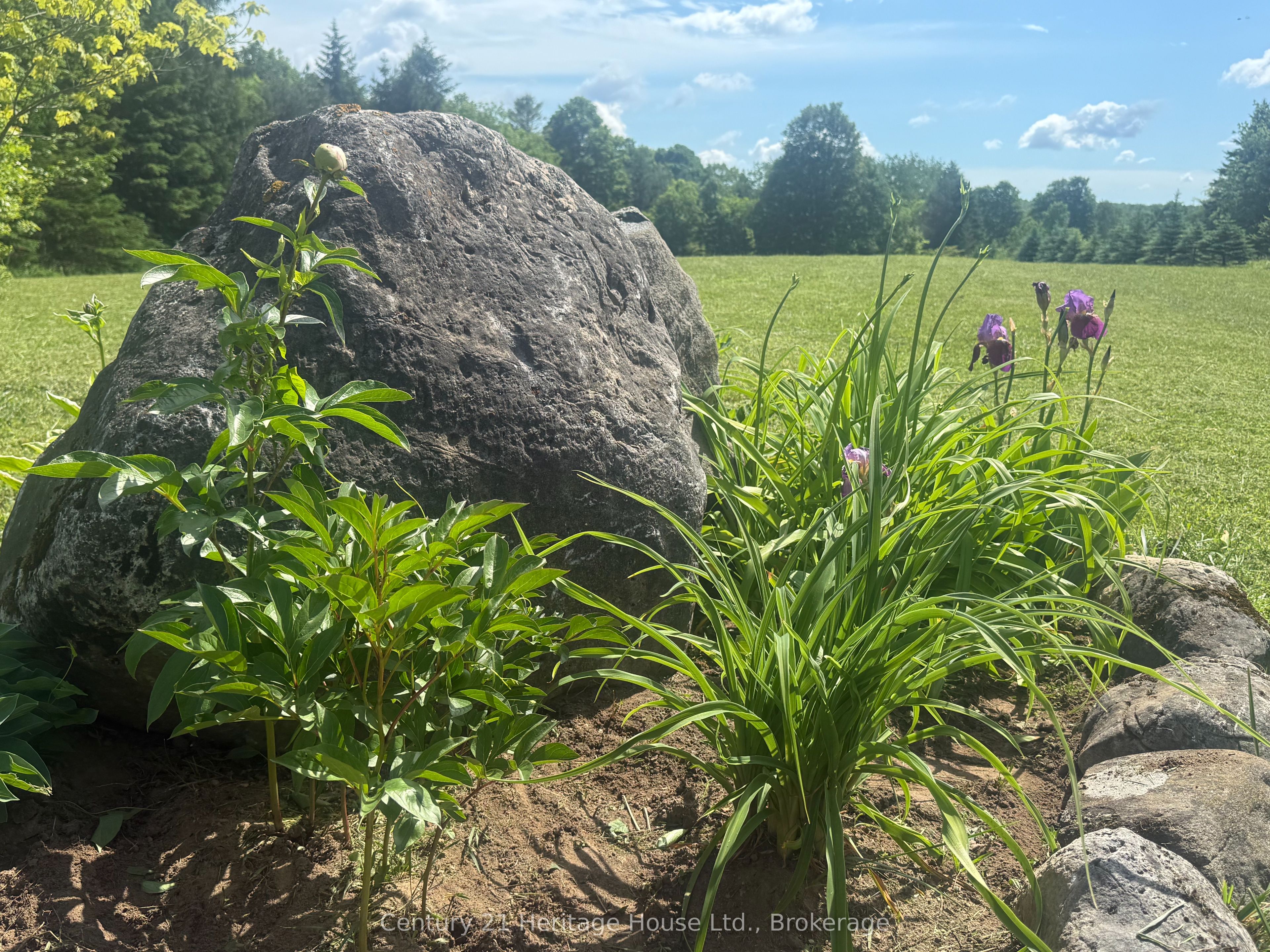 395551 2 Concession Property Photo 25