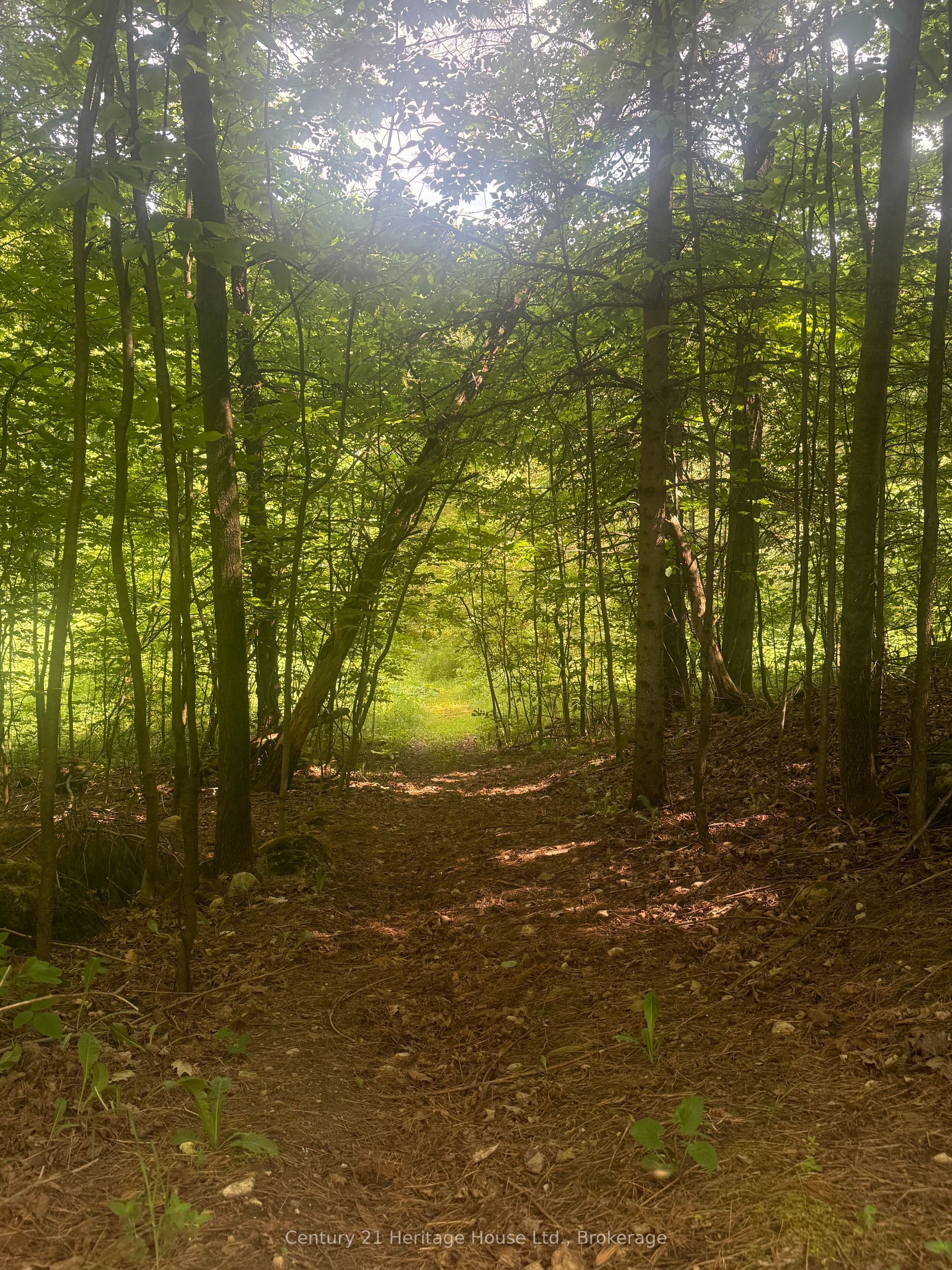 395551 2 Concession Property Photo 27