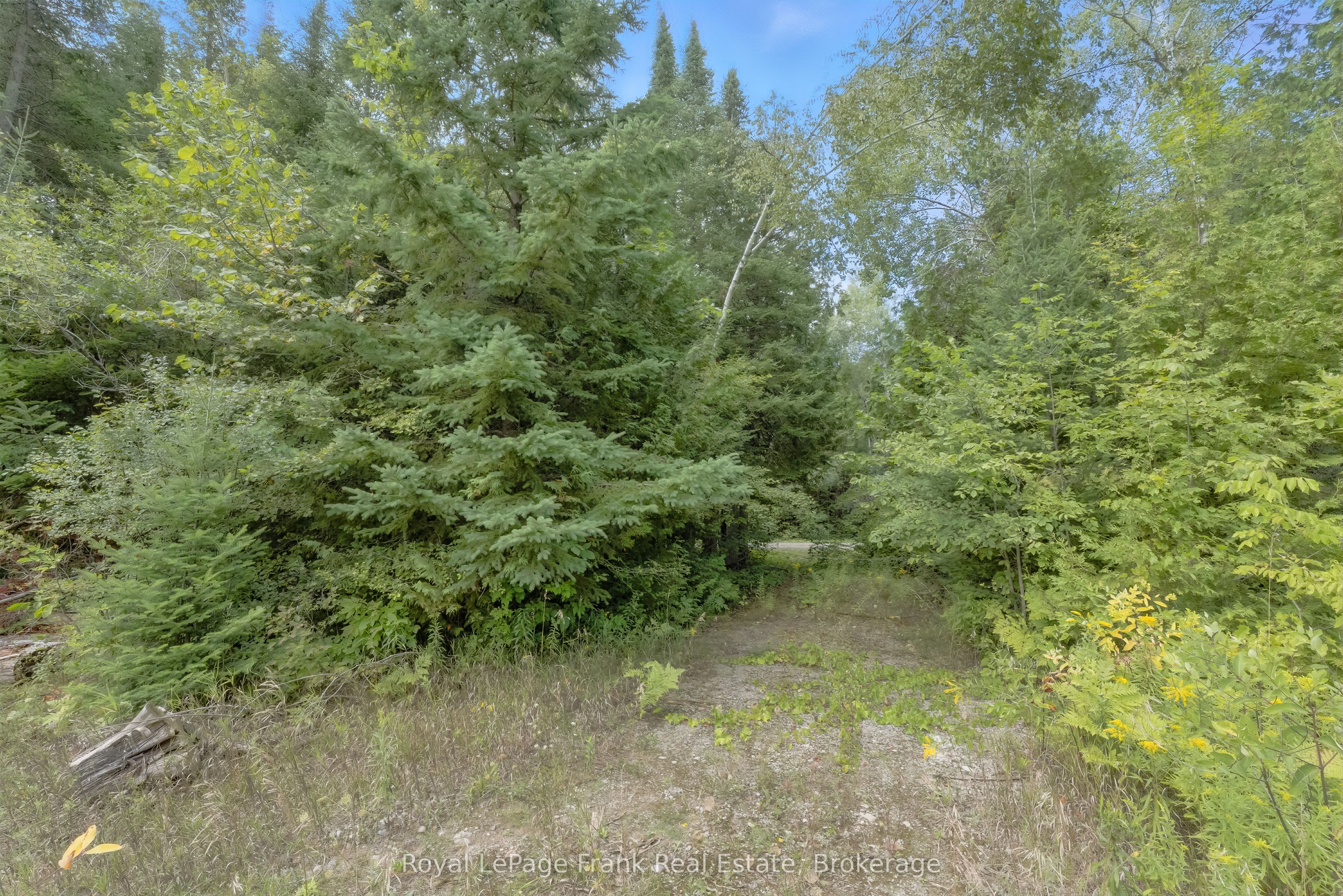 274 Highway 35 Property Photo 31