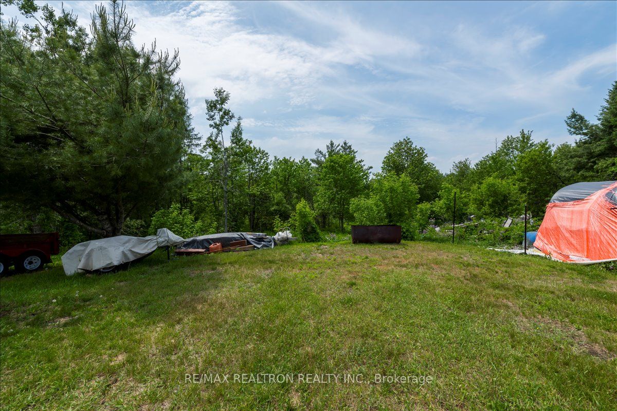 45 Joseph Street Property Photo 26