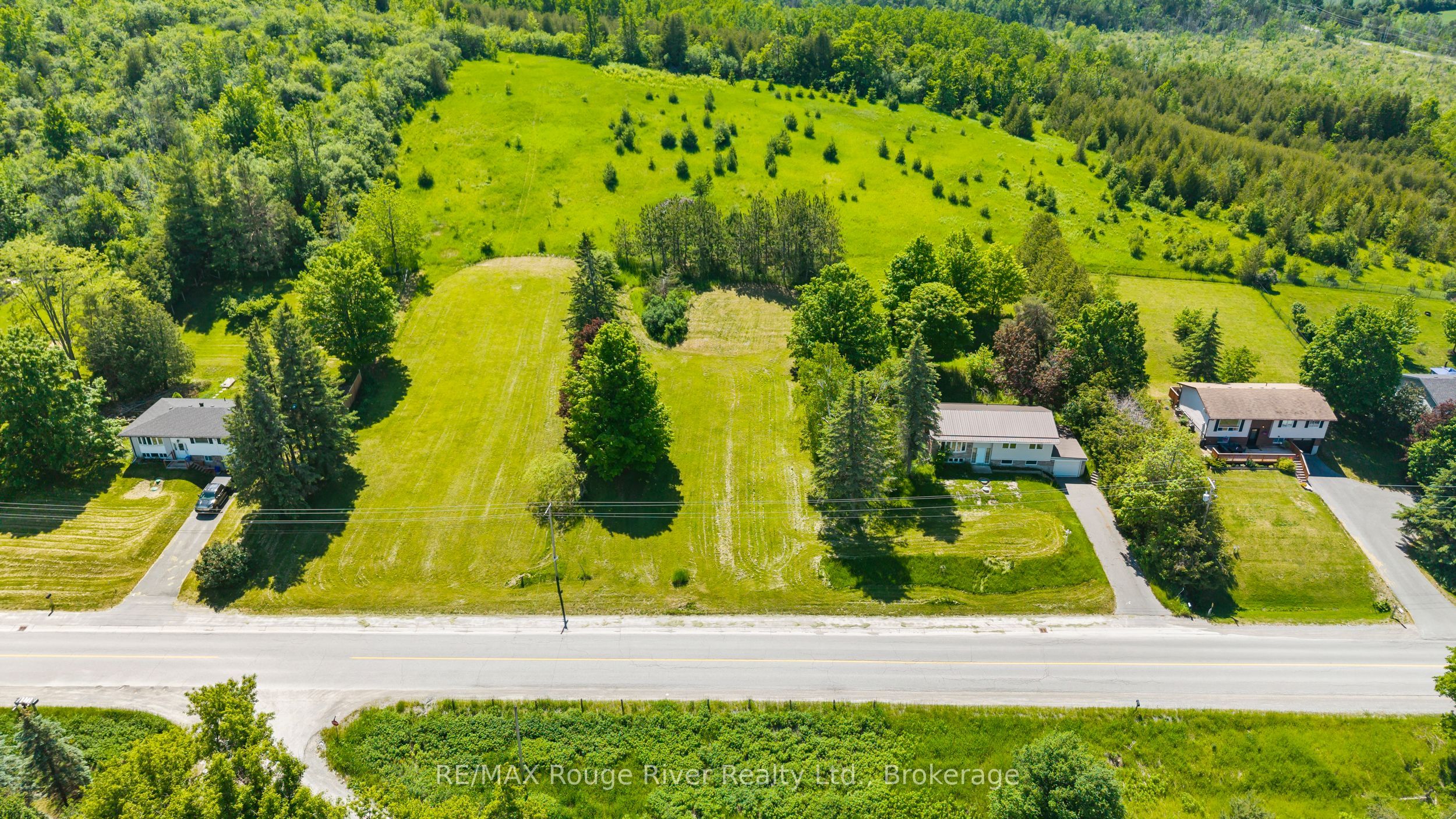 0 Frank Hill Road Property Photo 4