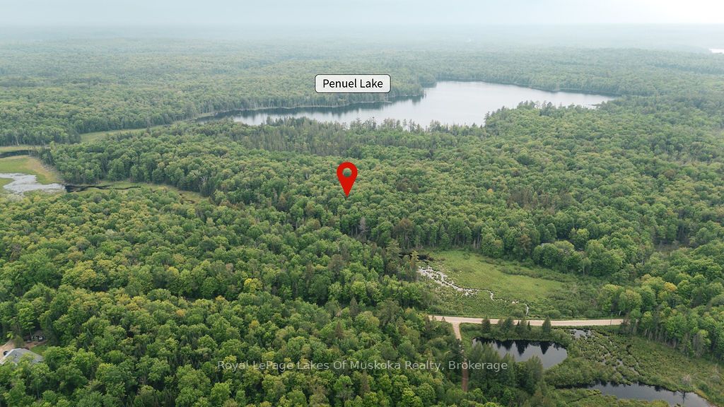 254 Expressway Road Property Photo 2