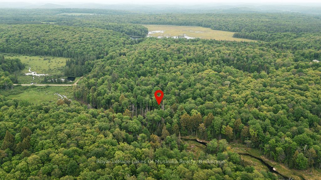 254 Expressway Road Property Photo 3