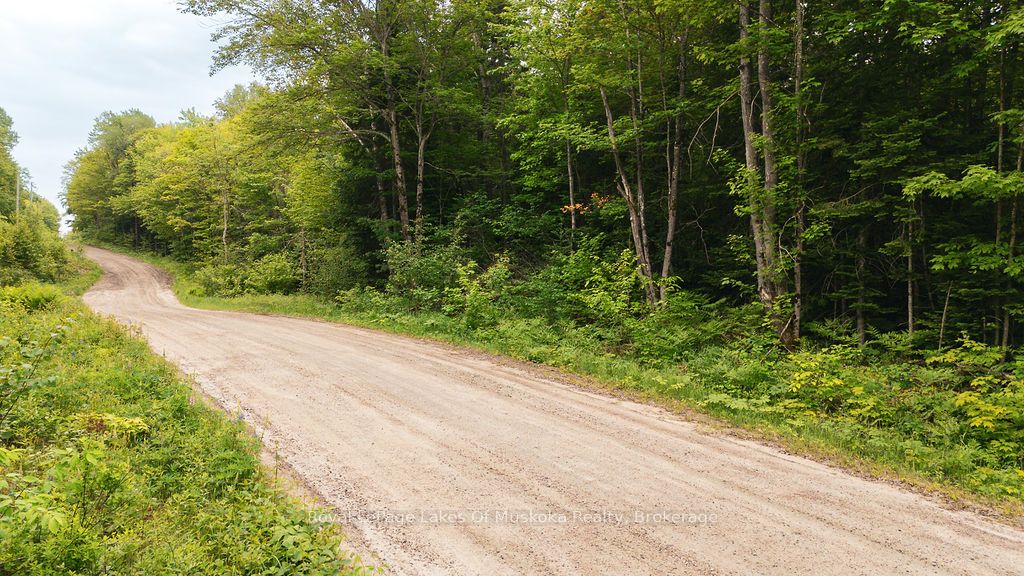 254 Expressway Road Property Photo 4