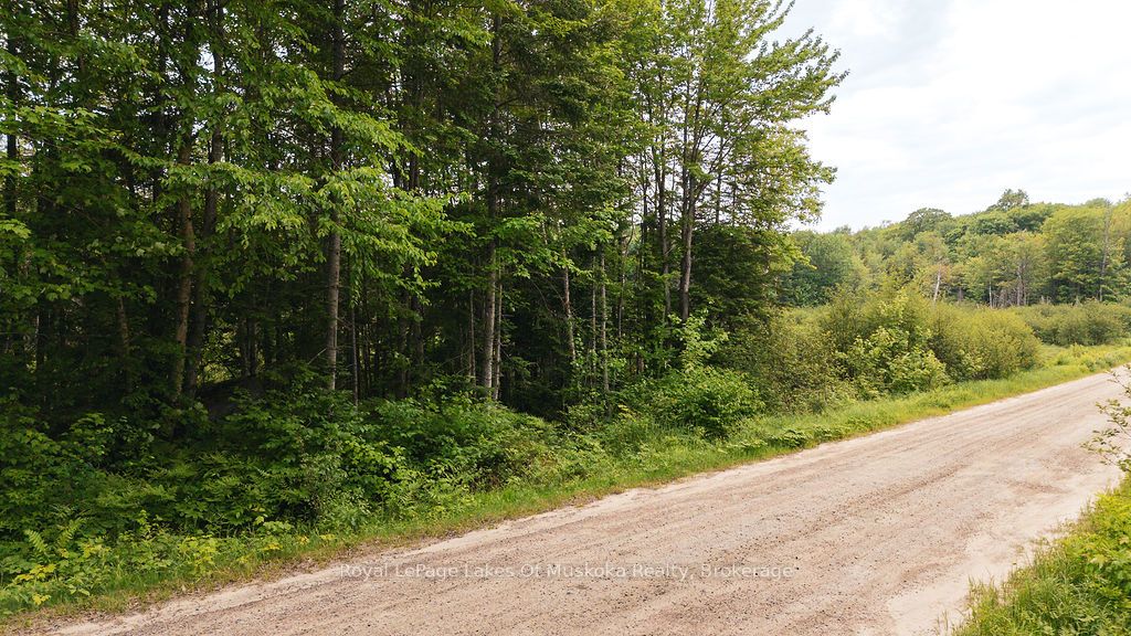 254 Expressway Road Property Photo 5