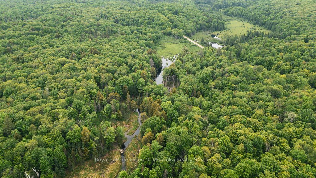 254 Expressway Road Property Photo 6