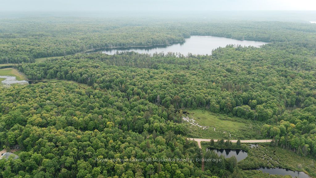 254 Expressway Road Property Photo 9