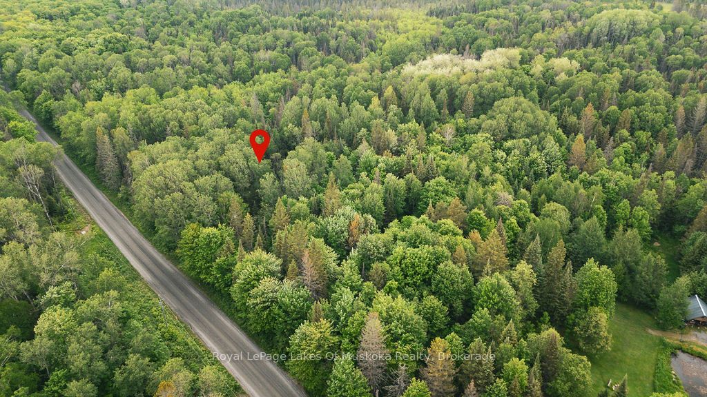 123 Ely Side Road Property Photo 2
