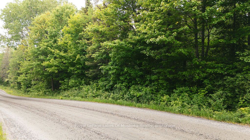 123 Ely Side Road Property Photo 3